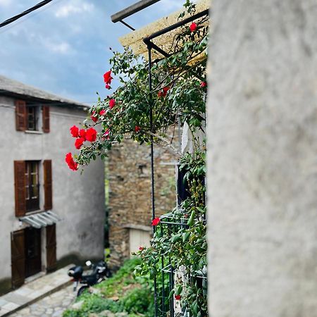 Tres Jolie Maison Aux Portes Du Cap Corse Sisco Exterior photo