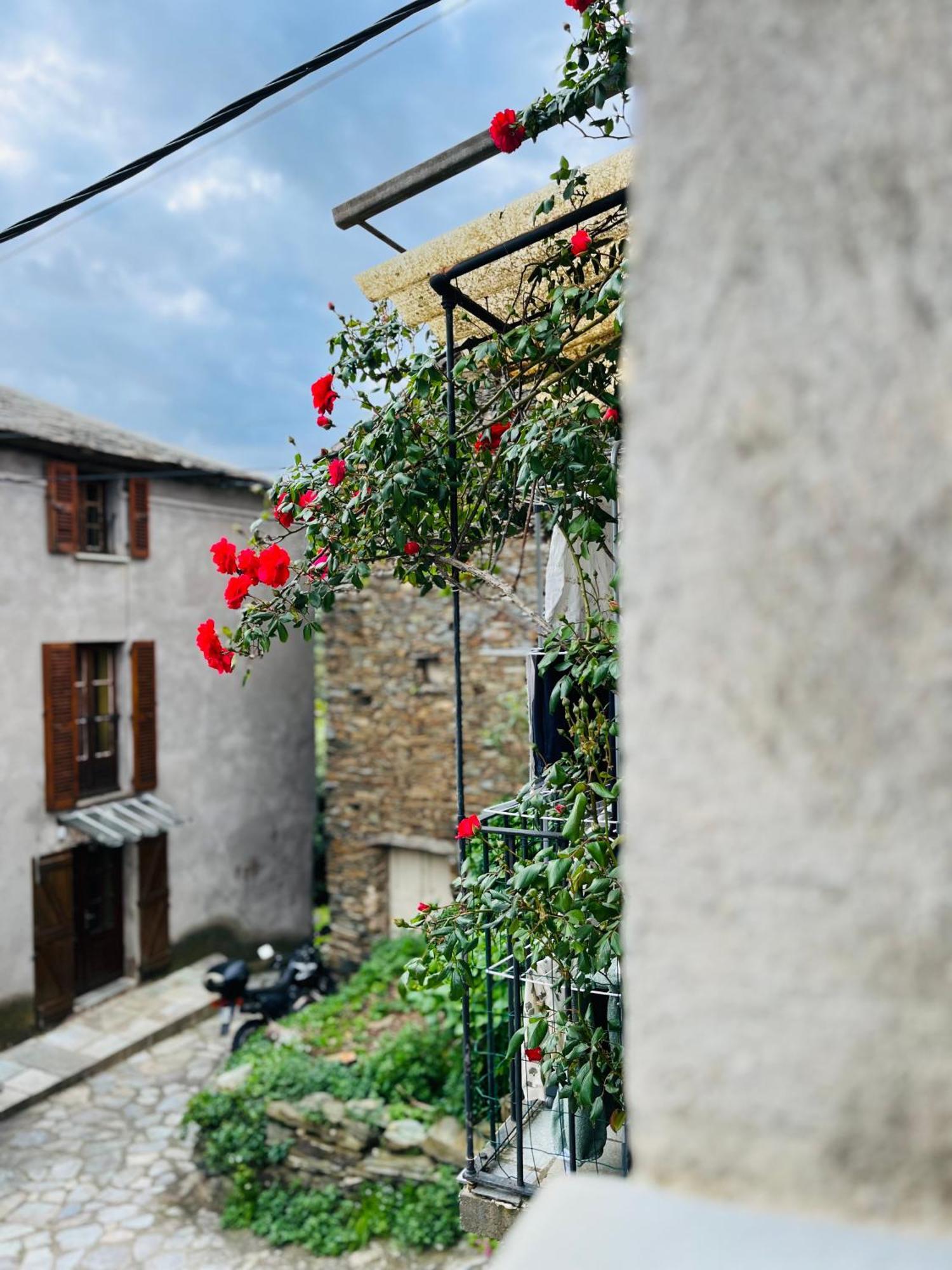 Tres Jolie Maison Aux Portes Du Cap Corse Sisco Exterior photo